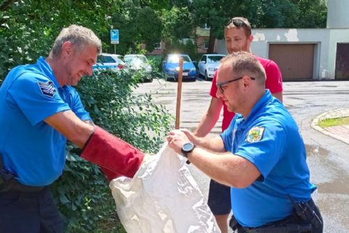 Foto: Chodov: Strážníci odchytili v Tyršově ulici hroznýše královského