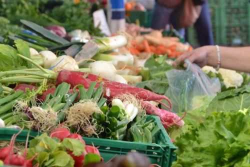 Foto: Karlovy Vary: K Tržnici se po zimní odmlce opět vracejí farmáři