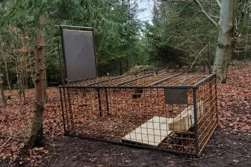 Foto: Karlovy Vary: Odchytové zařízení na divočáky bylo instalováno v Drahovicích