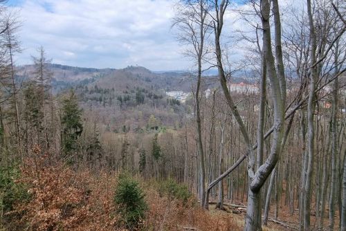 Foto: Karlovy Vary: Přírodní rezervace na území lázeňských lesů bude brzy zaregistrována