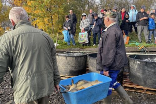 Foto: Ostrov: Kaprům se letos dařilo