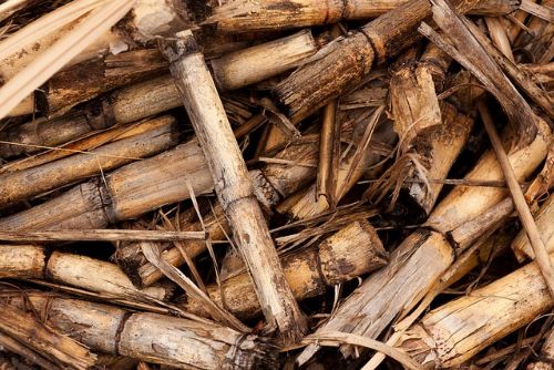 Foto: Region: Díky spalování biomasy snižuje Elektrárna Tisová významně produkci emisí