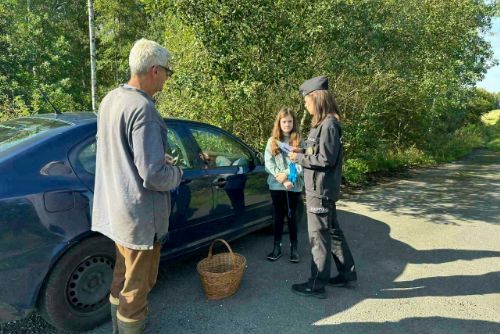 Foto: Region: Houbařská sezóna je v plném proudu