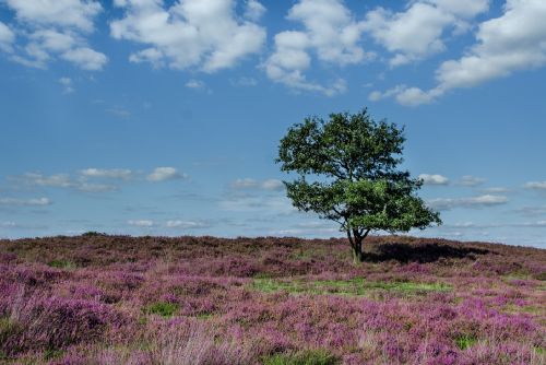 Foto: Region: Karlovarský kraj plánuje upravit přírodní rezervaci Oceán v Krušnohoří