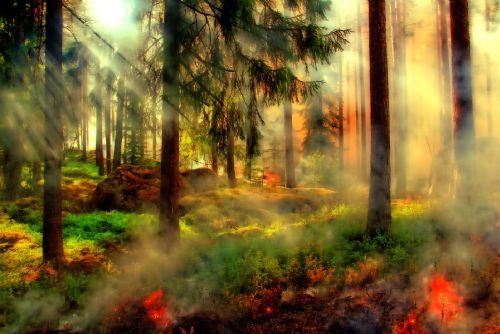 Foto: Region: Kraj se chystá zmapovat rizikové lokality, kde mohou hrozit rozsáhlé požáry