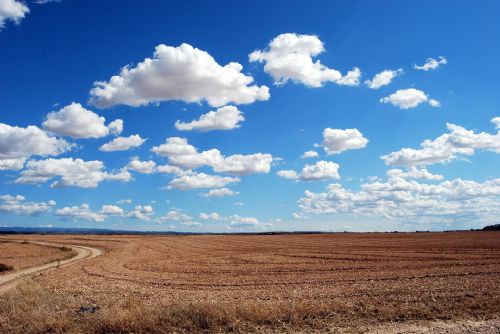 Foto: Region: Kraj udělí Zelenou hvězdu za mimořádné aktivity v oblasti ochrany přírody