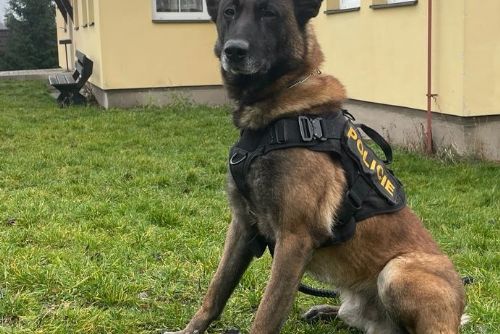 Foto: Region: Policisté vypátrali pohřešovanou ženu
