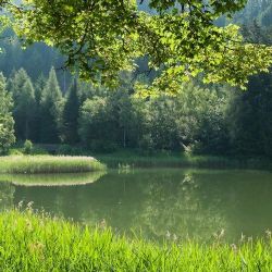 Region: Zelenou hvězdu Karlovarského kraje získaly Lesy Drmoul