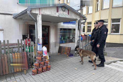 Foto: Sokolovsko: Policie kontrolovala večerky, herny a restaurace