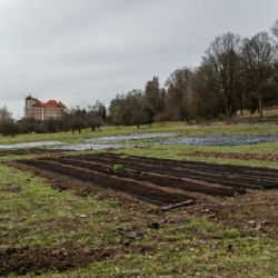 Hlasování o ekologických projektech: vítěz E.ON Energy Globe získá 500 000 Kč