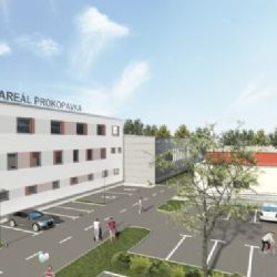 Plzeň rozdělí 670 milionů z přebytku. Peníze půjdou do zoo, sportu i bezpečnosti