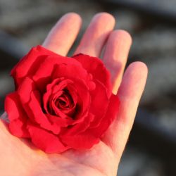 Přežili pokus o sebevraždu? Stále potřebují naši podporu