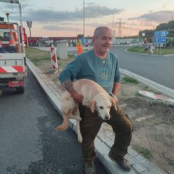 Vyhublá fenka pobíhala dva dny u dálnice D5. U Rozvadova ji zachránili policisté a záchranáři
