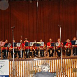MLÁDEŽNICKÉ ORCHESTRY SE SEŠLY VE STŘÍBŘE