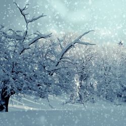 Na Šumavě může napadnout až 25cm sněhu