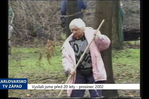 Foto: 2002 – Sokolov: Na jaře začnou postřiky kaštanům proti klíněnce (TV Západ)