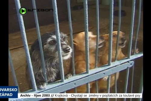 Foto: 2003 – Krajková: Chystají se změny v poplatcích za toulavé psy (TV Západ)