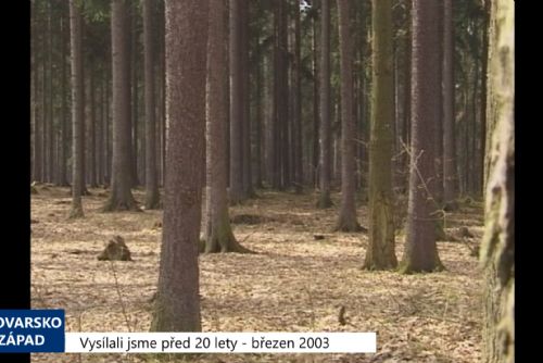 obrázek:2003 – Sokolov: Město odmítá žádost Lesů ČR a myslivců (TV Západ)