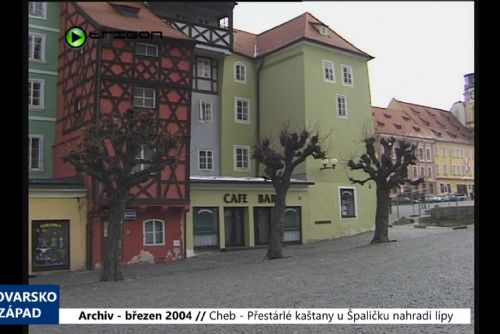 Foto: 2004 – Cheb: Přestárlé kaštany u Špalíčku nahradí lípy (TV Západ)