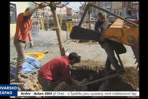 Foto: 2004 – Cheb: U Špalíčku jsou vysazeny nové malokorunní lípy (TV Západ)