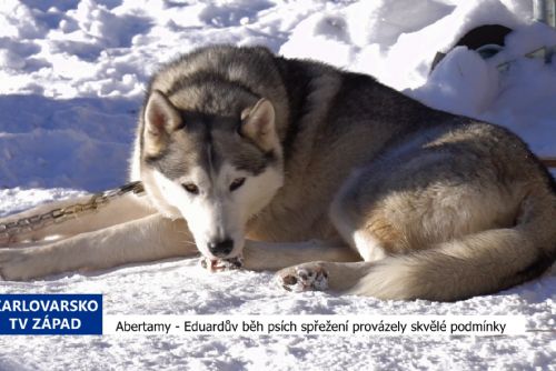 obrázek:Abertamy: Eduardův běh psích spřežení provázely skvělé podmínky (TV Západ)