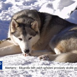 Abertamy: Eduardův běh psích spřežení provázely skvělé podmínky (TV Západ)