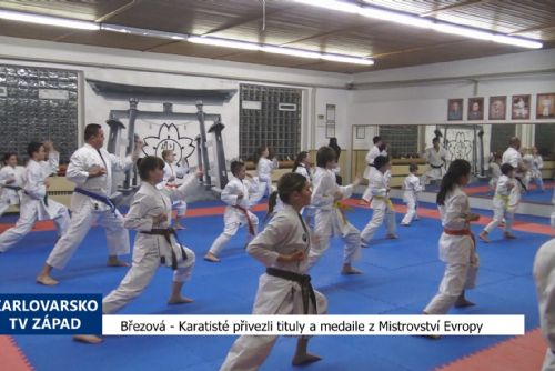 obrázek:Březová: Karatisté přivezli tituly a medaile z Mistrovství Evropy (TV Západ)
