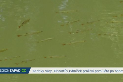 obrázek:Karlovy Vary: Mozartův rybníček prožívá první léto po obnově (TV Západ)