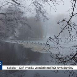 Sokolov: Čtyři rybníky ve městě mají být revitalizovány (TV Západ)
