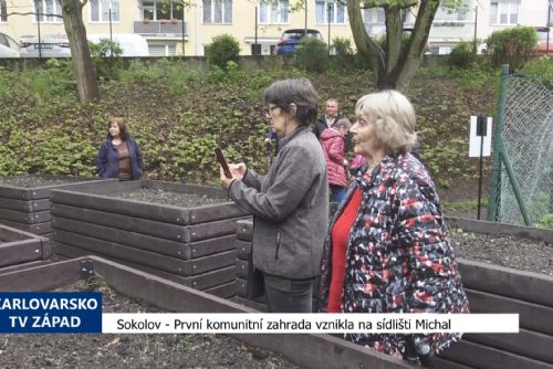 Foto: Sokolov: První komunitní zahrada vznikla na sídlišti Michal (TV Západ)