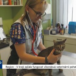 V kraji začala fungovat víkendová veterinární pohotovost (TV Západ)