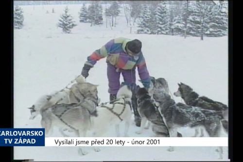 Foto: 2001 – Boží Dar: Byly vybudovány trasy pro psí spřežení (TV Západ)