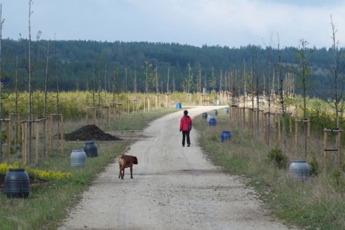 Obrázek - 