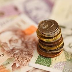 Aš: Na návštěvě u známé odcizila finanční hotovost