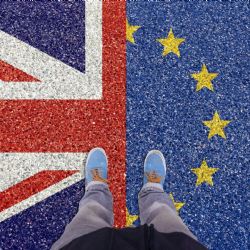 BREXIT výrazně dopadne také na obchodování s veterinárním zbožím