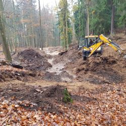 Budováním tůní podporují lázeňské lesy ochranu přírody