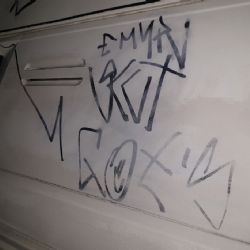 Cheb: Fixem a sprejem popsal vše, co mu přišlo pod ruku