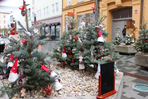 Obrázek - 