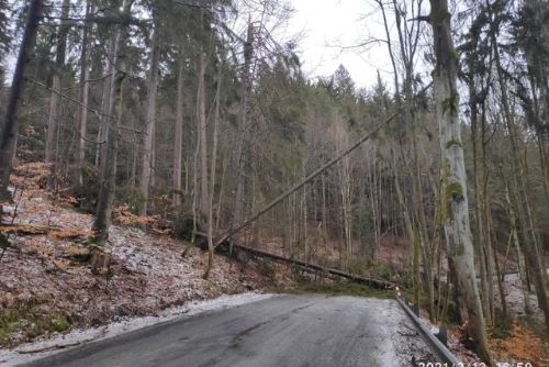 Obrázek - 