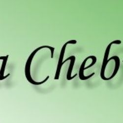 Cheb: Složitá situace pro Lesy města