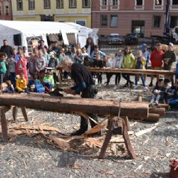 Cheb: Stále můžete hlasovat pro projekt historických krovů