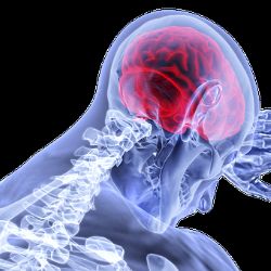 Chodov: Neurologie končí