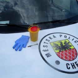 Do akce Jehla se zapojili i chebští strážníci