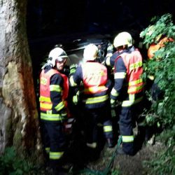 Dolní Žandov, Vysoká: Smrtelná dopravní nehoda. Řidič nezvládl řízení a narazil do stromu
