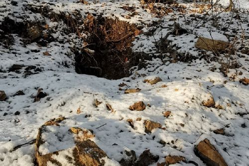 Obrázek - 