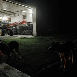 Jáchymov: Večerní pátrání po seniorovi