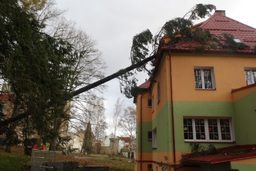 Obrázek - 