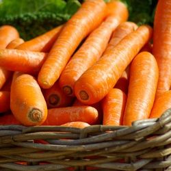 Karlovy Vary: Na pátečních farmářských trzích nakoupíte čerstvou zeleninu z Polabí