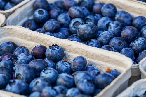 Foto: Karlovy Vary: Páteční farmářské trhy nabídnou borůvky a čerstvě stočený med