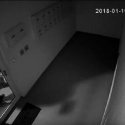 Karlovy Vary: Policisté objasnili několik krádeží